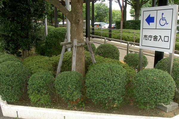 稲城市庁舎緑地管理